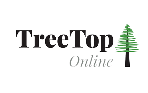 Treetop Online | Laten beleggen in fondsen